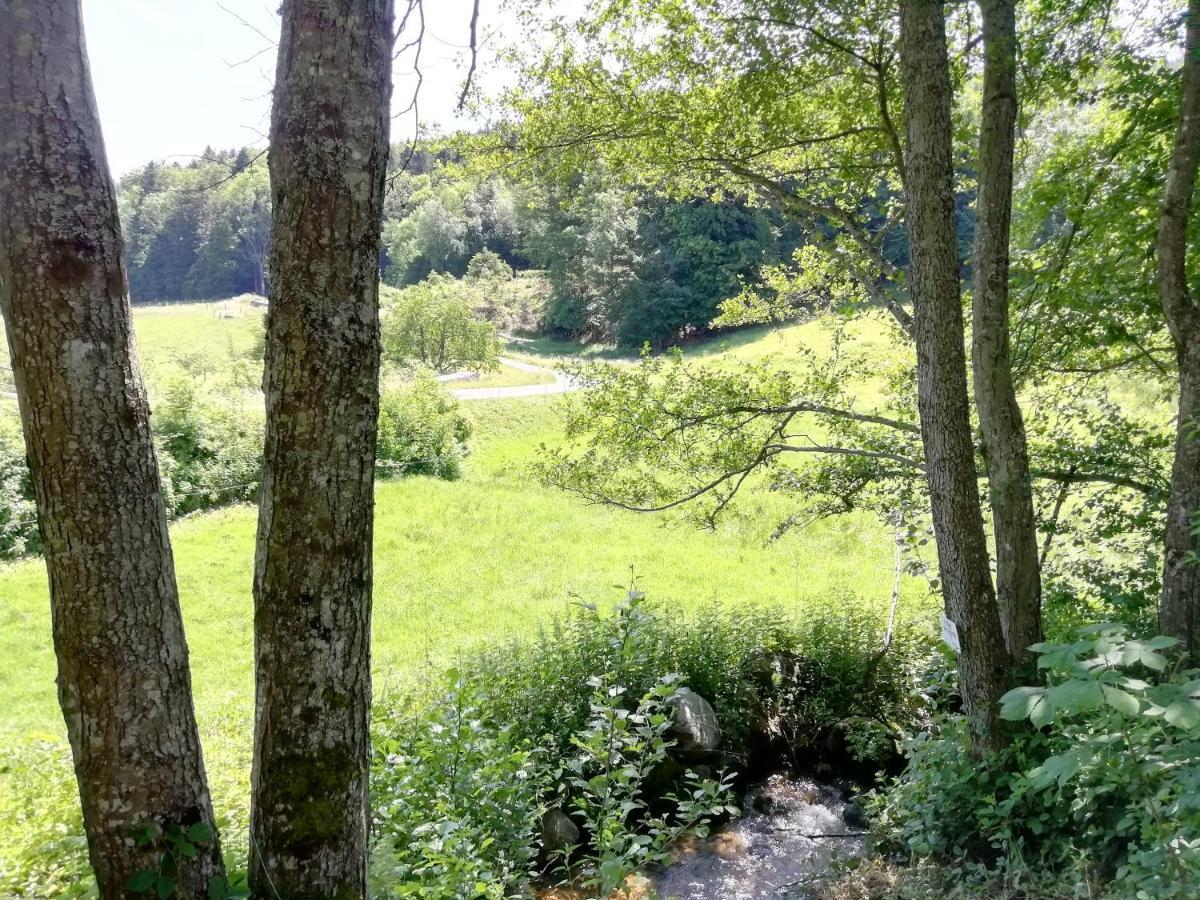 Le Domaine De Pairis Orbey Exterior photo